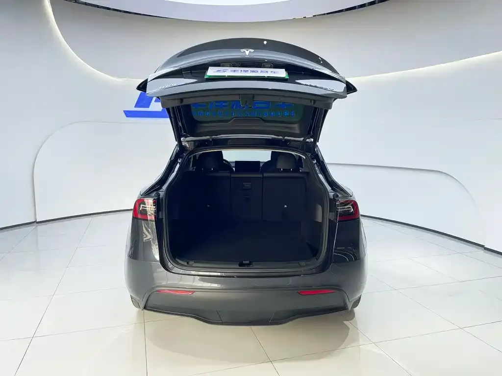 Tesla Model Y 2024 из CN, фото 6