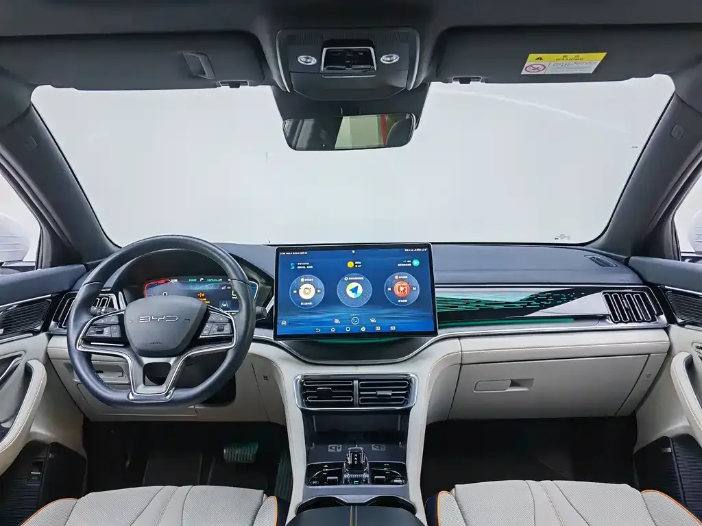 BYD PLUS New Energy 2023 из CN, фото 10