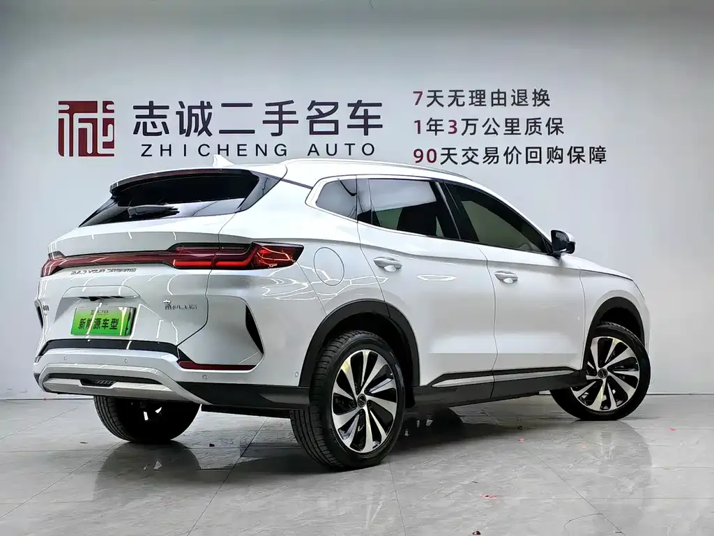 BYD PLUS New Energy 2023 из CN, фото 3