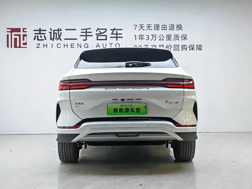BYD PLUS New Energy 2023 из CN, фото 5