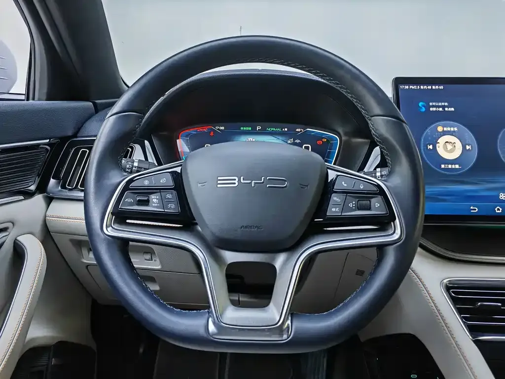 BYD PLUS New Energy 2023 из CN, фото 6