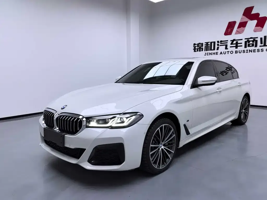 BMW 5 Series 2021 из CN, фото 1