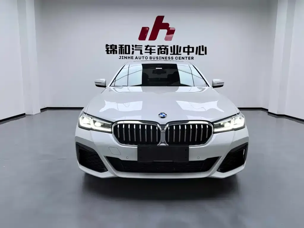 BMW 5 Series 2021 из CN, фото 2