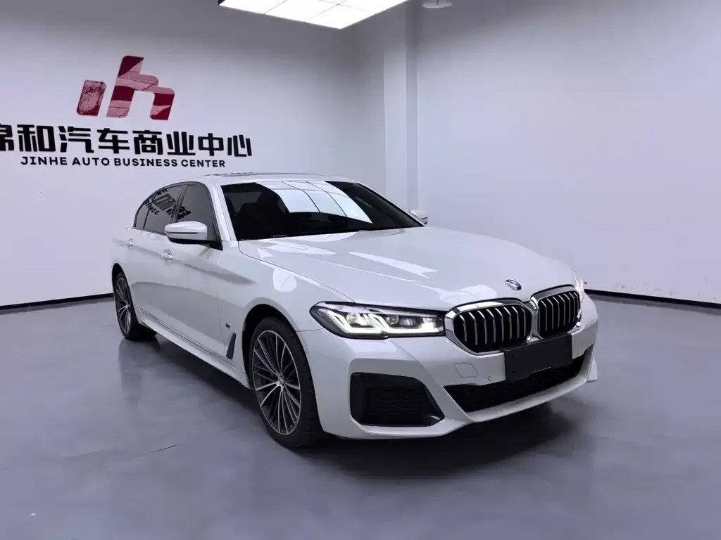 BMW 5 Series 2021 из CN, фото 3