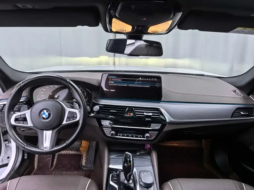 BMW 5 Series 2021 из CN, фото 4