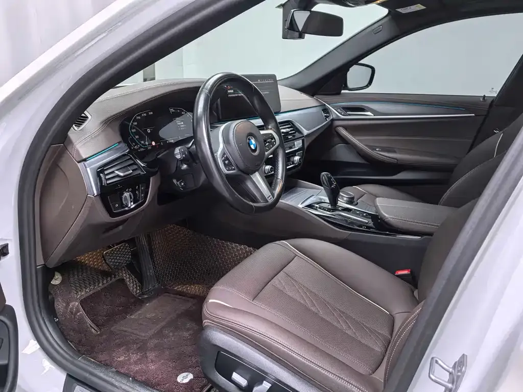 BMW 5 Series 2021 из CN, фото 6