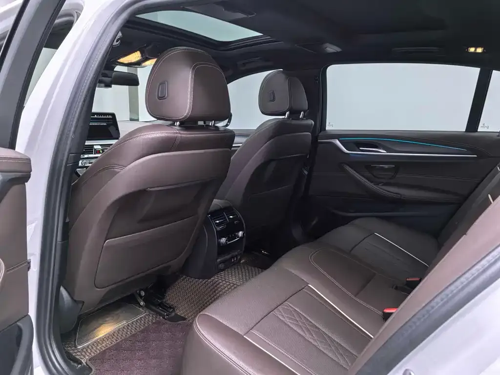 BMW 5 Series 2021 из CN, фото 8