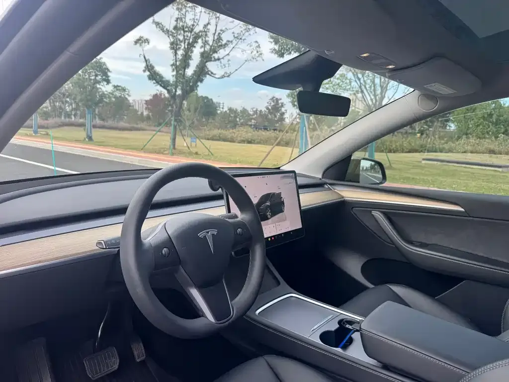 Tesla Model Y 2023 из CN, фото 5
