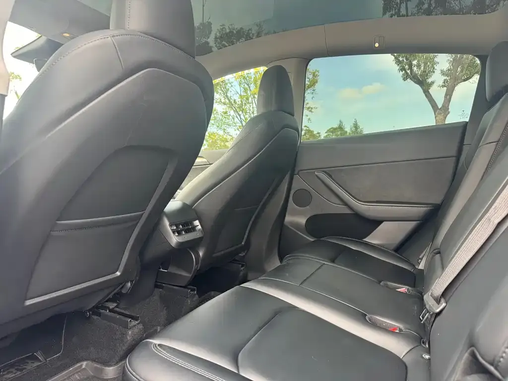 Tesla Model Y 2023 из CN, фото 6