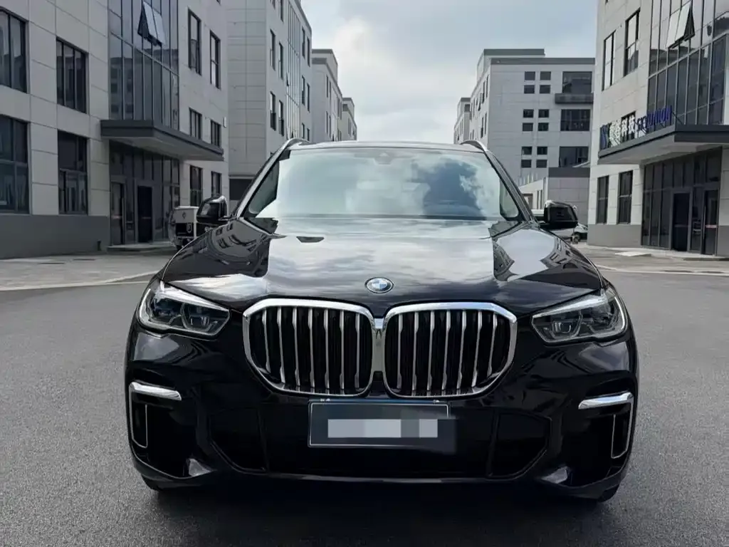 BMW X5 2023 из CN, фото 2