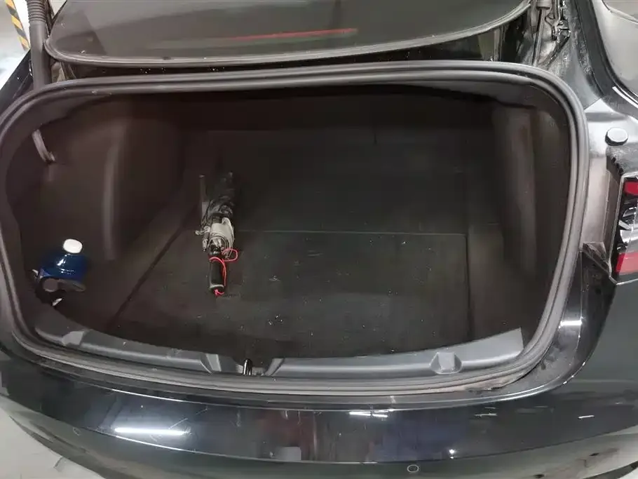 Tesla Model 3 2021 из CN, фото 4