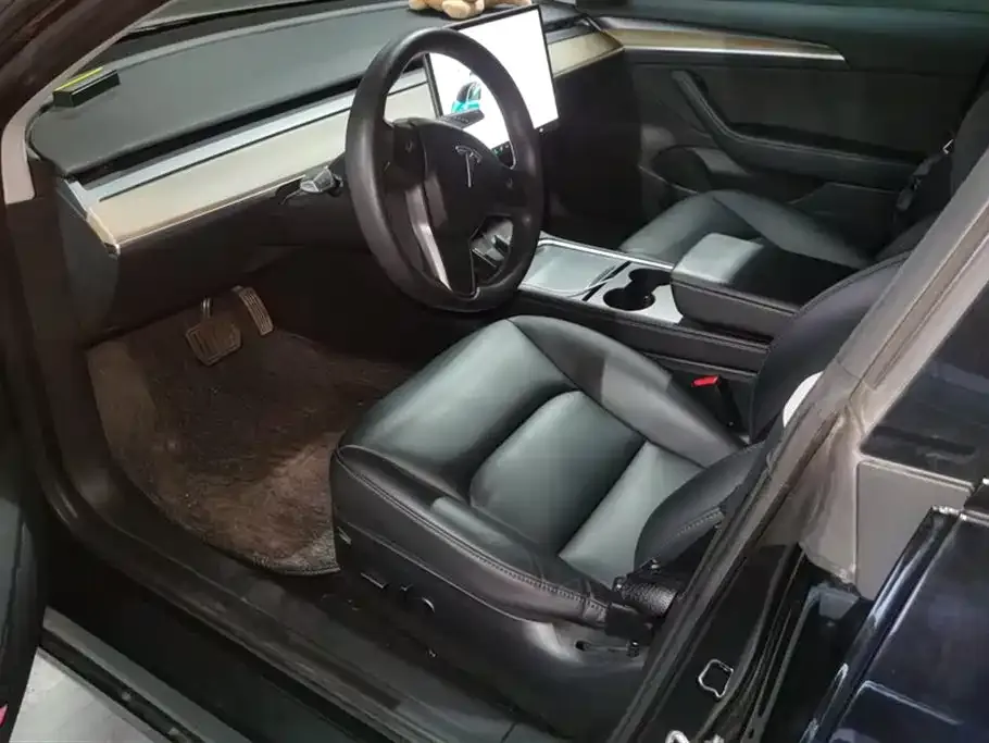 Tesla Model 3 2021 из CN, фото 9