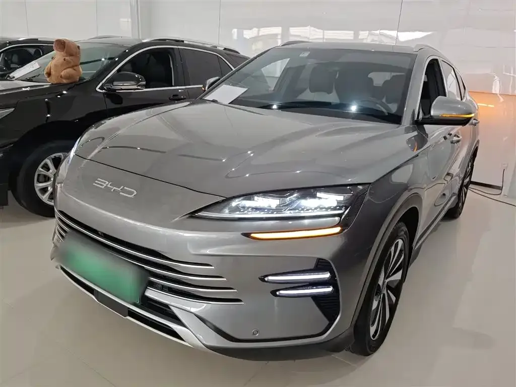 BYD PLUS New Energy — фото 1