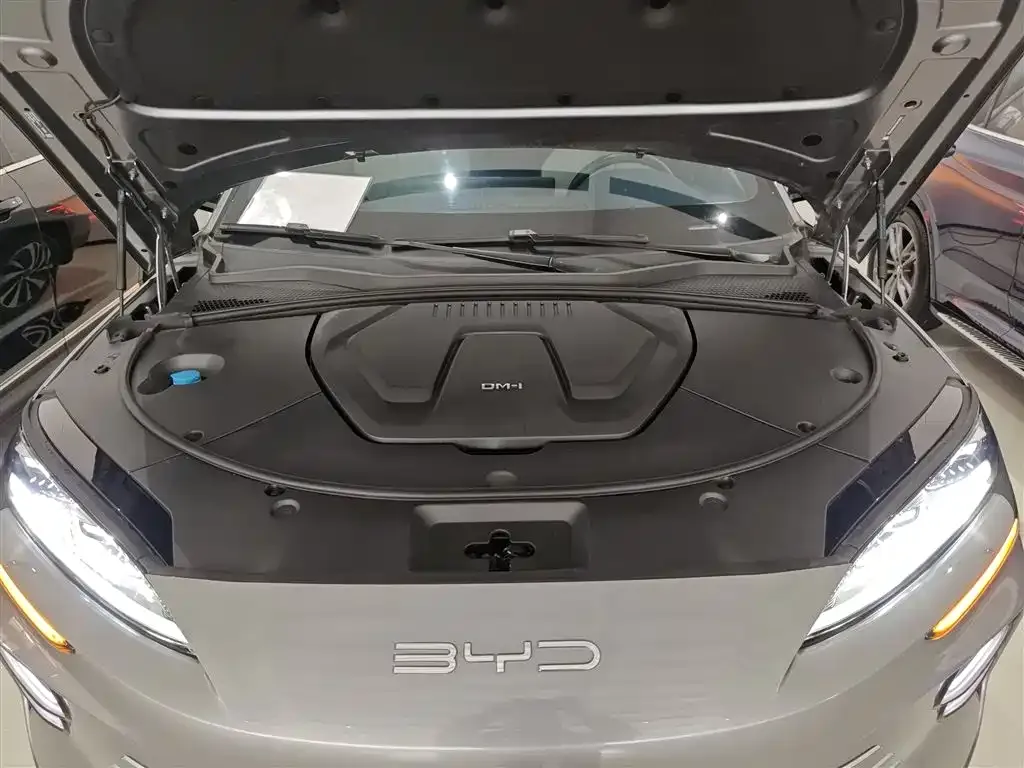BYD PLUS New Energy — фото 9