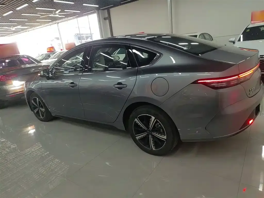 BYD Destroyer 05 2024 из CN, фото 5