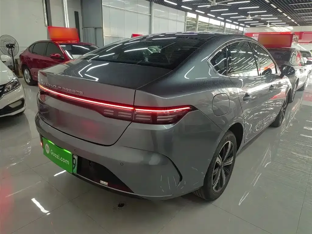 BYD Destroyer 05 2024 из CN, фото 7