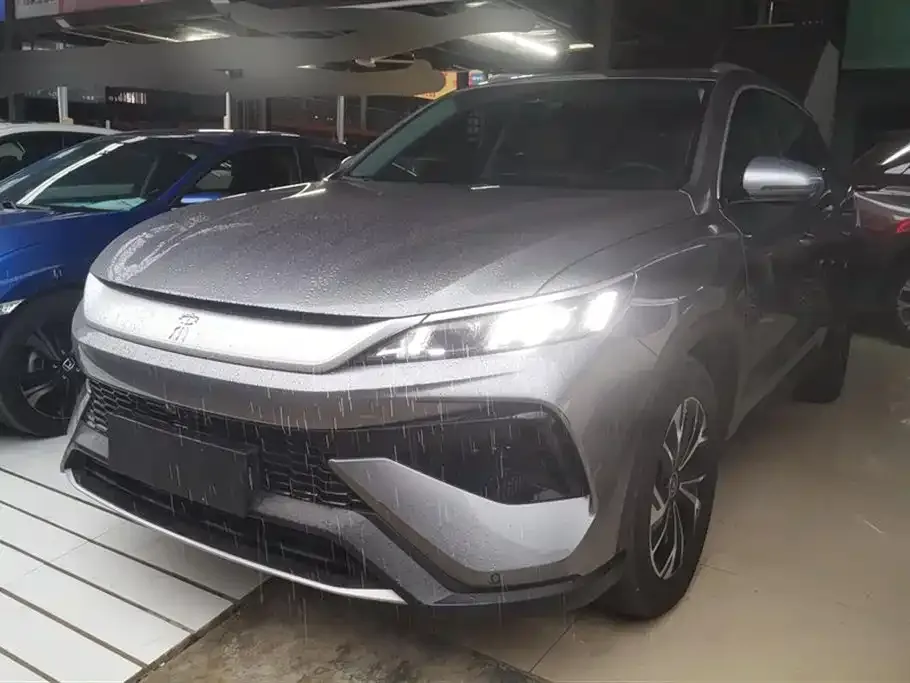 BYD Pro New Energy 2024 из CN, фото 1