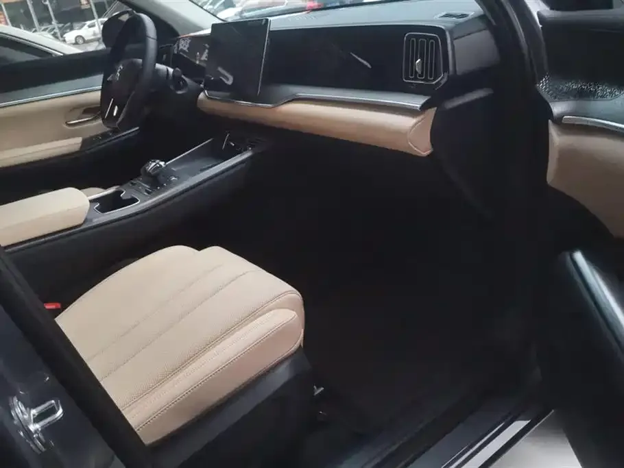 BYD Pro New Energy 2024 из CN, фото 8