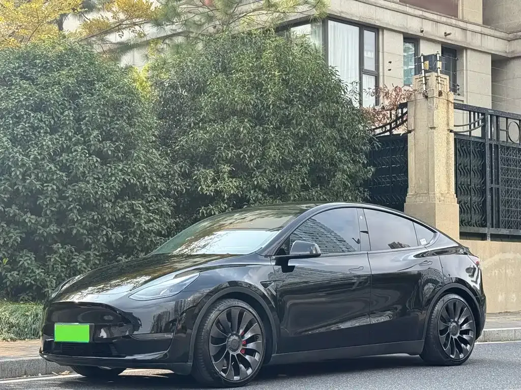 Tesla Model Y 2022 из CN, фото 1
