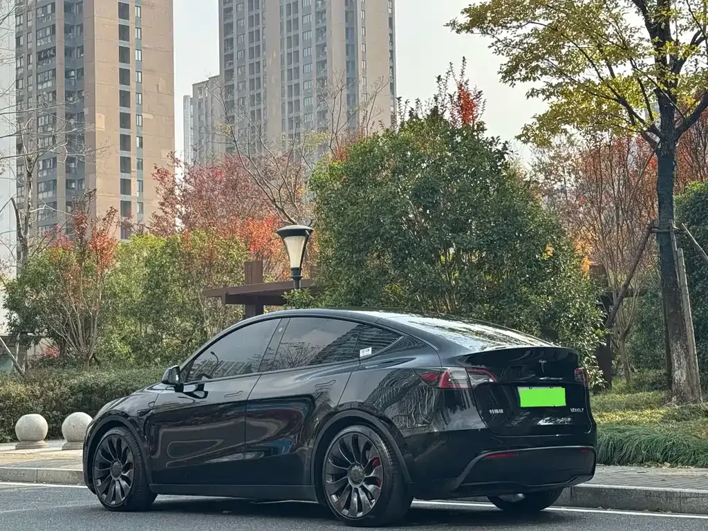 Tesla Model Y 2022 из CN, фото 10