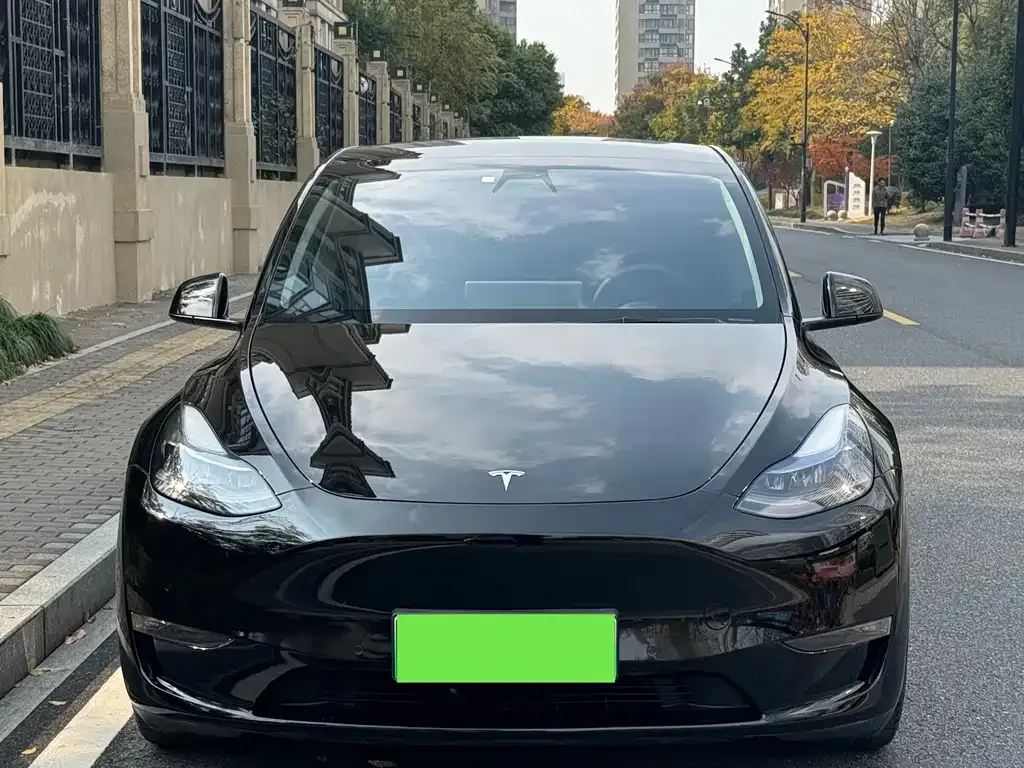 Tesla Model Y 2022 из CN, фото 2
