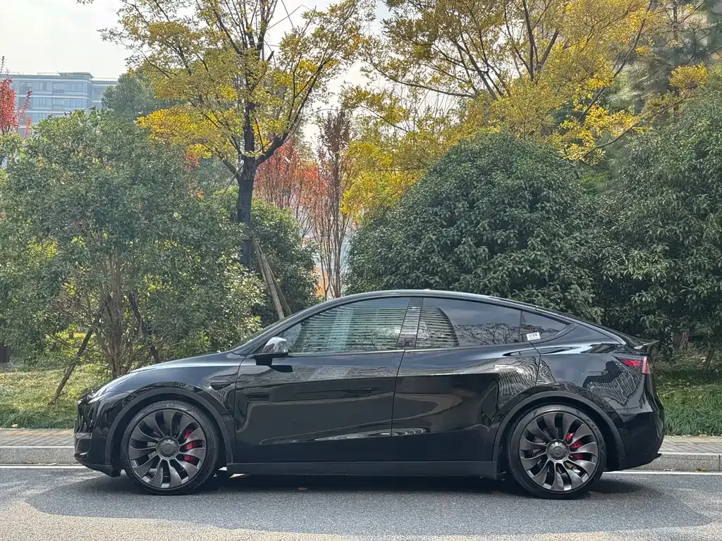 Tesla Model Y 2022 из CN, фото 3