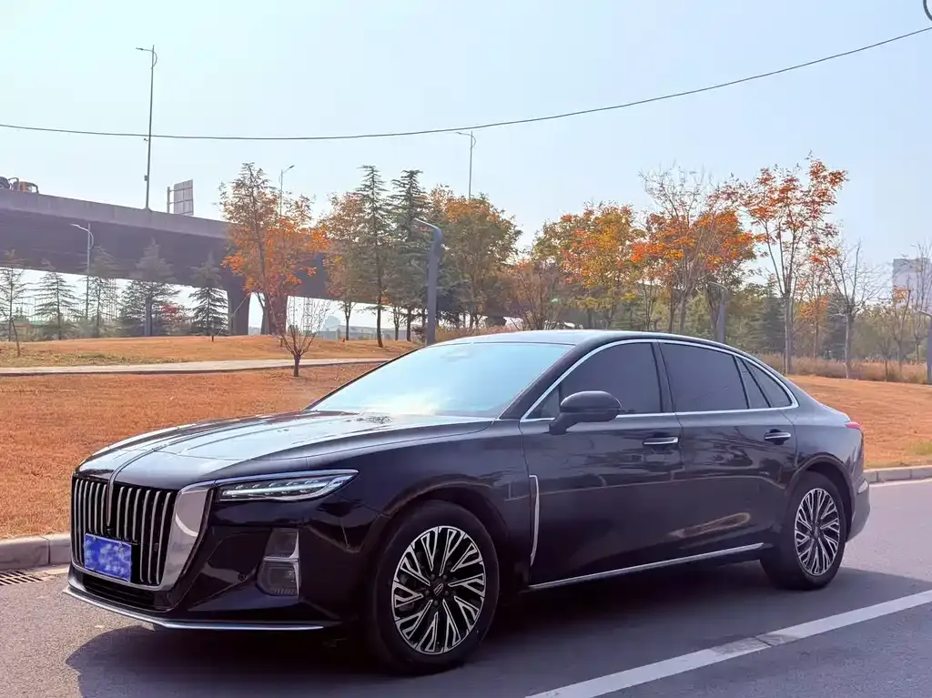 Hongqi H5 2025 из CN, фото 1