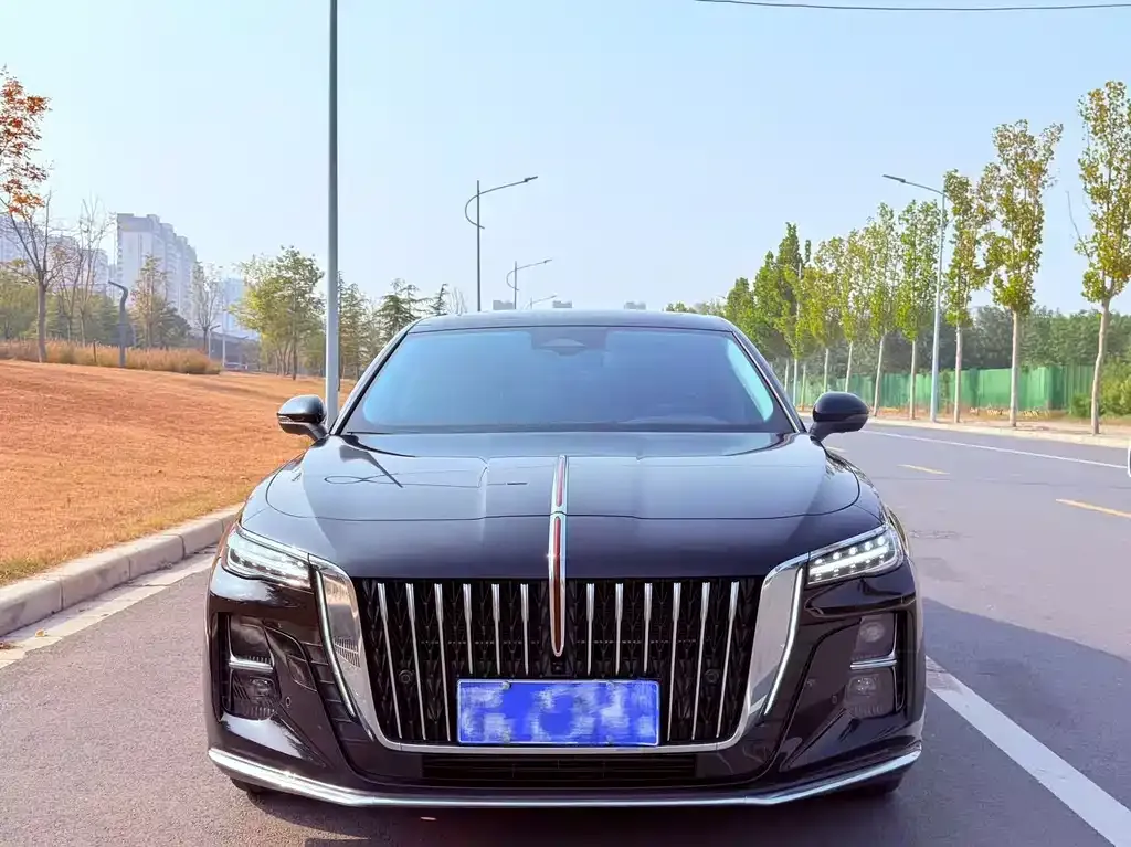 Hongqi H5 2025 из CN, фото 2