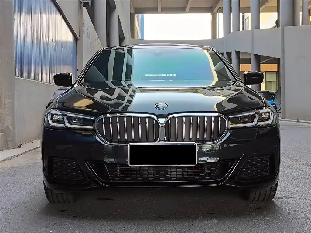 BMW 5 Series 2022 из CN, фото 2