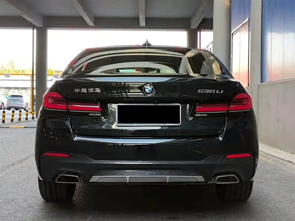 BMW 5 Series 2022 из CN, фото 4