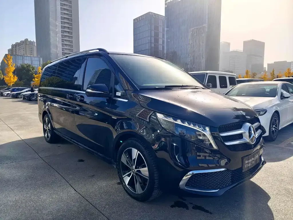 Mercedes-Benz V-Class 2024 из CN, фото 3