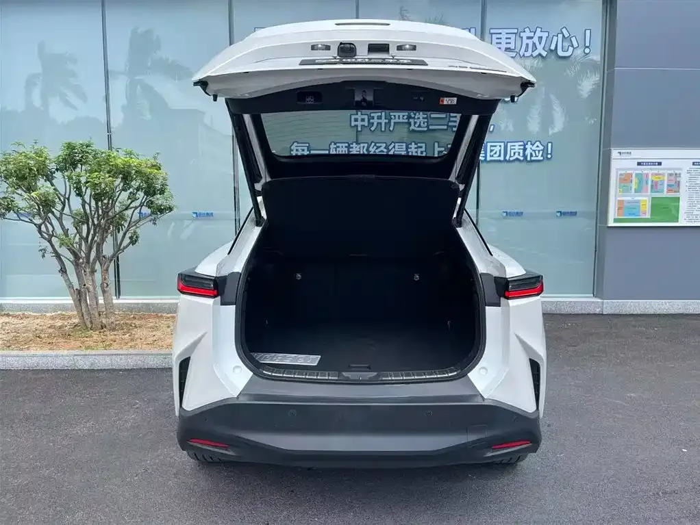 Lexus RZ 2023 из CN, фото 5
