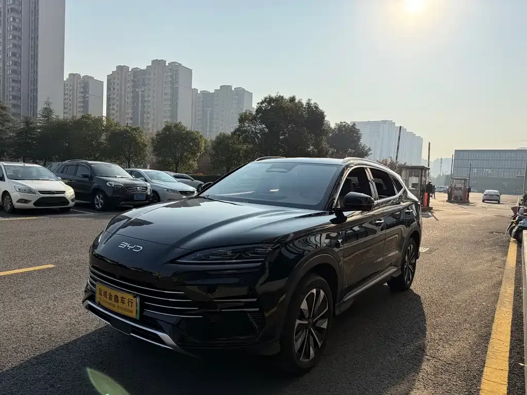 BYD PLUS New Energy 2025 из CN, фото 1
