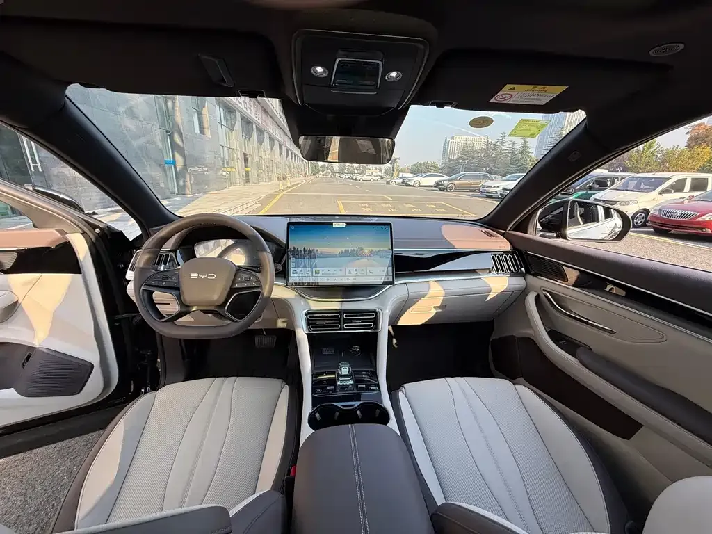 BYD PLUS New Energy 2025 из CN, фото 10