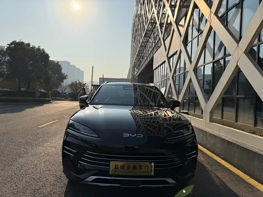 BYD PLUS New Energy 2025 из CN, фото 2
