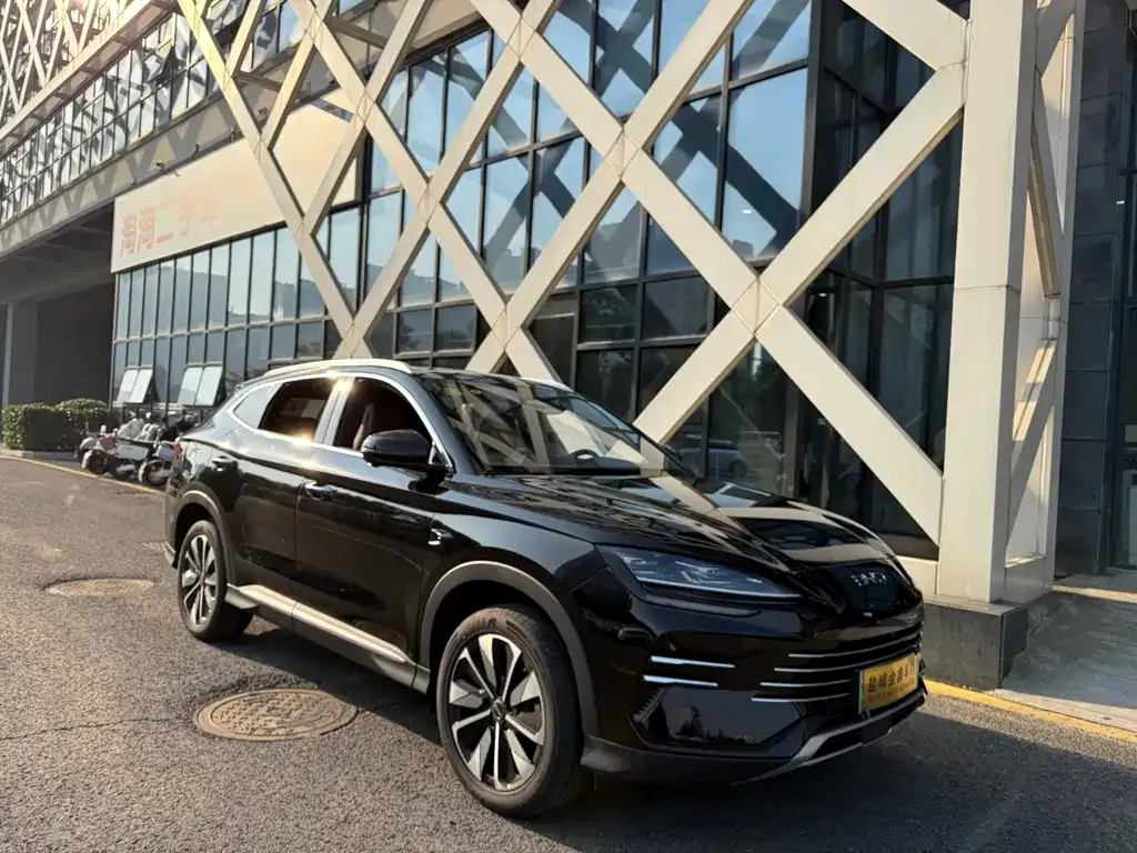 BYD PLUS New Energy 2025 из CN, фото 3