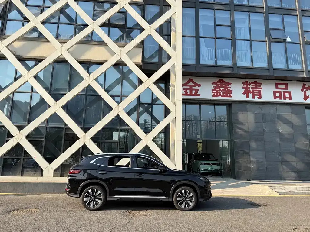 BYD PLUS New Energy 2025 из CN, фото 4