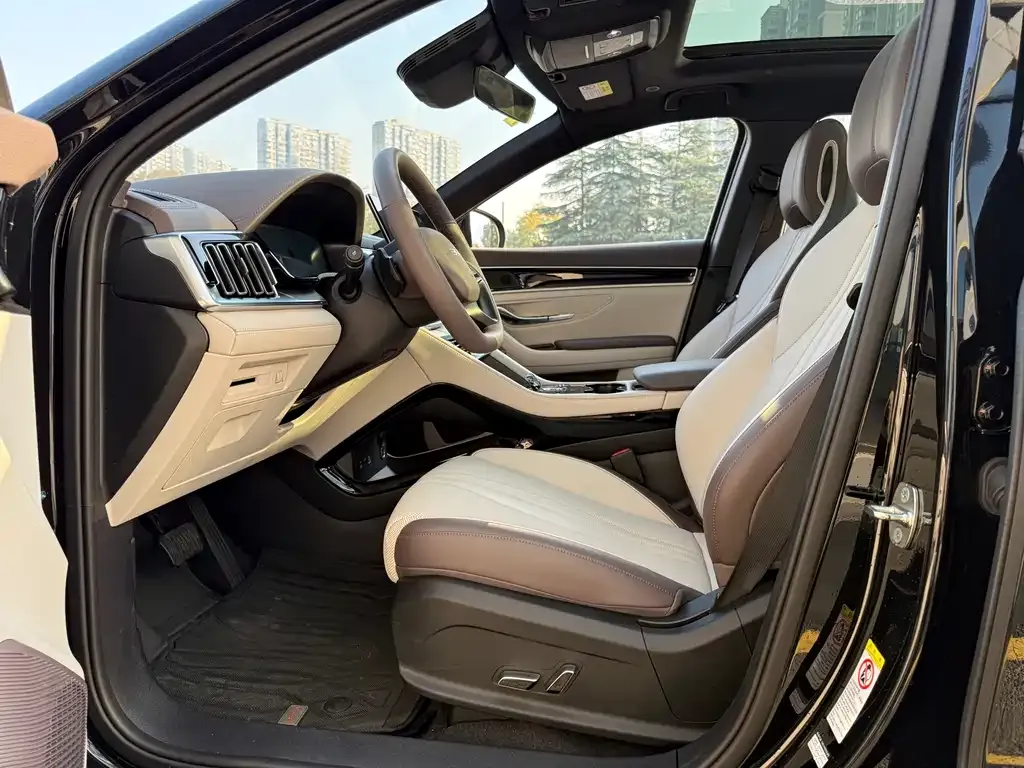 BYD PLUS New Energy 2025 из CN, фото 6