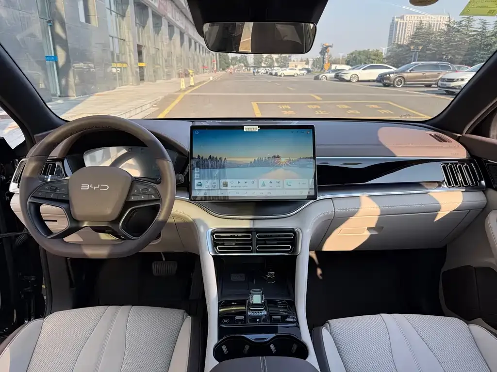 BYD PLUS New Energy 2025 из CN, фото 8