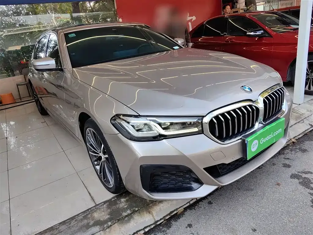 BMW 5 Series 2022 из CN, фото 4