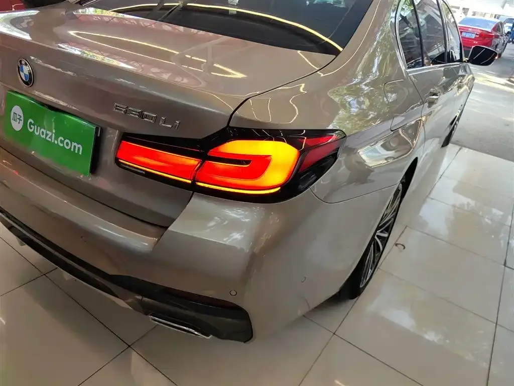 BMW 5 Series 2022 из CN, фото 8