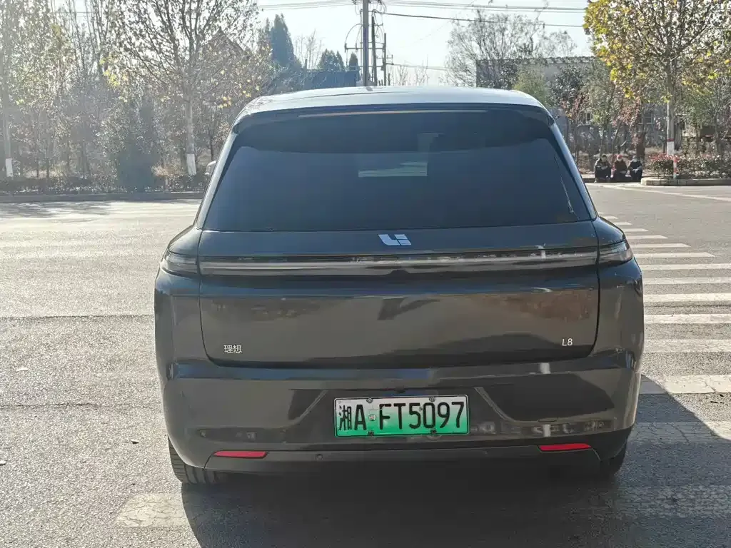 Li Auto L8 2025 из CN, фото 8