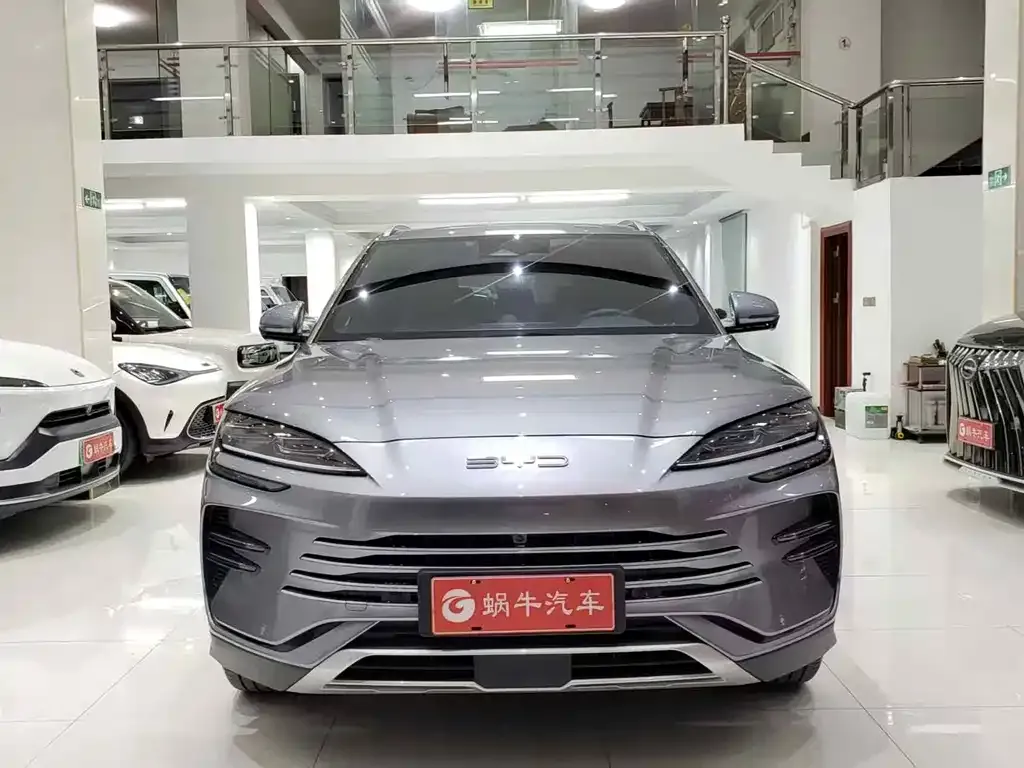 BYD PLUS New Energy — фото 2