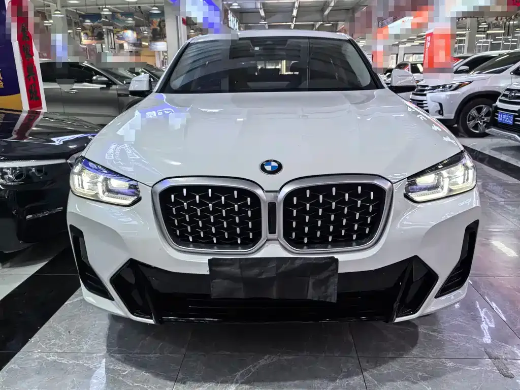 BMW X4 2023 из CN, фото 2