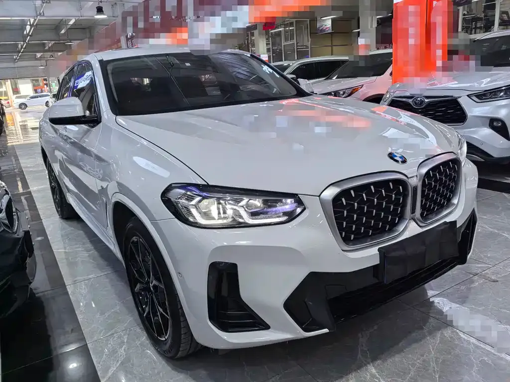 BMW X4 2023 из CN, фото 3