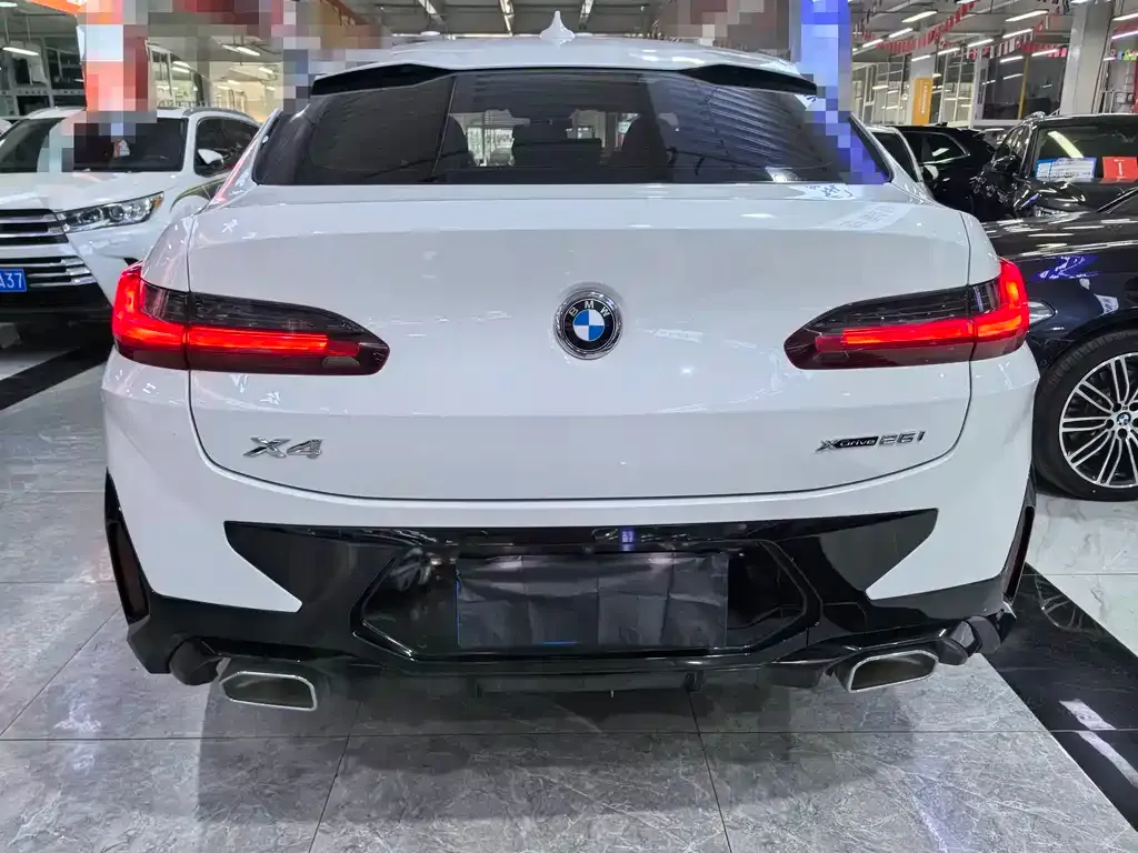 BMW X4 2023 из CN, фото 5