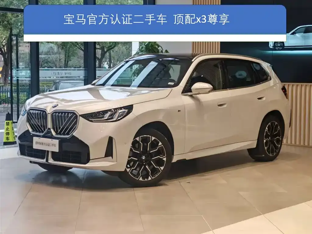 BMW X3 2025 из CN, фото 1