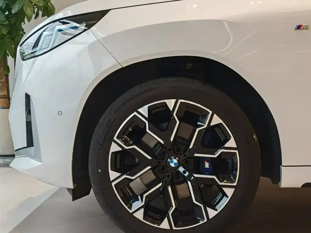 BMW X3 2025 из CN, фото 10
