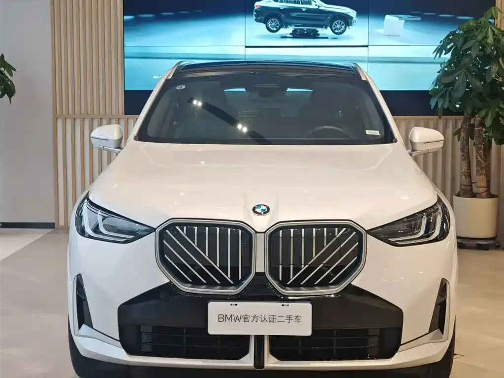 BMW X3 2025 из CN, фото 3