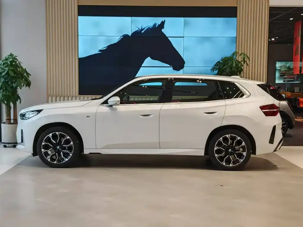 BMW X3 2025 из CN, фото 7
